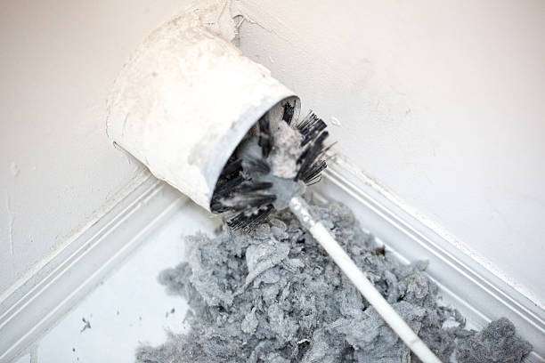 Best Affordable Duct Cleaning Services  in Arlington, GA